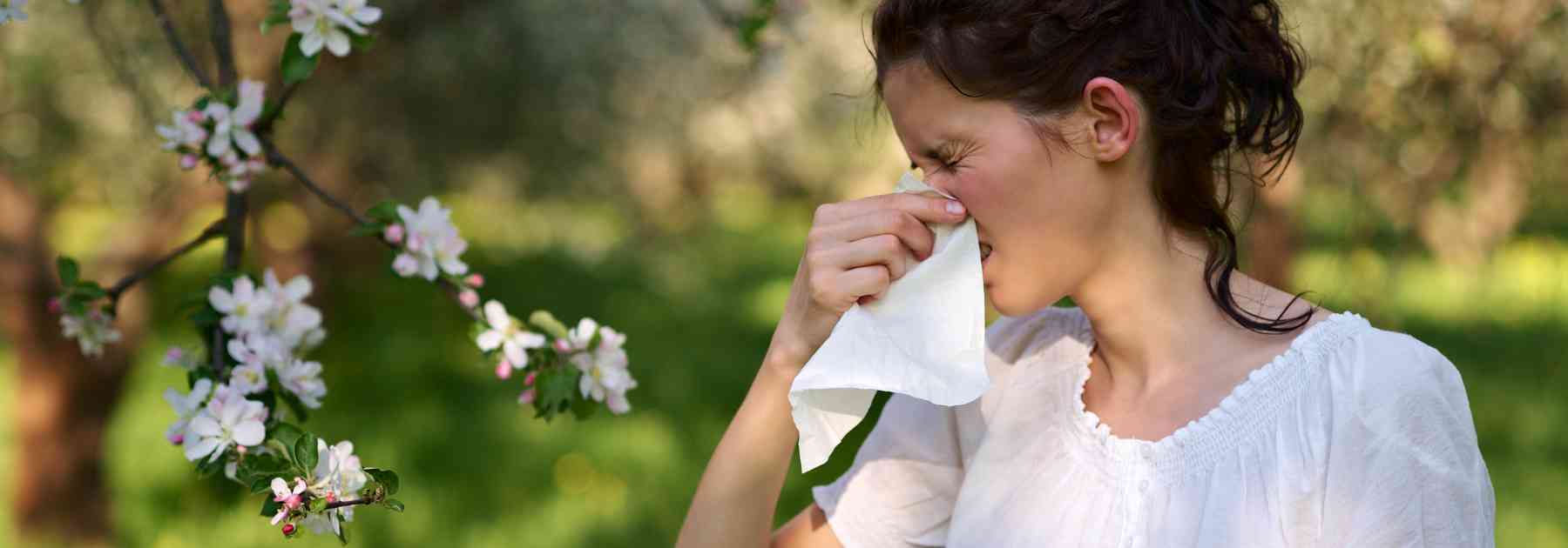 hay fever tablets 